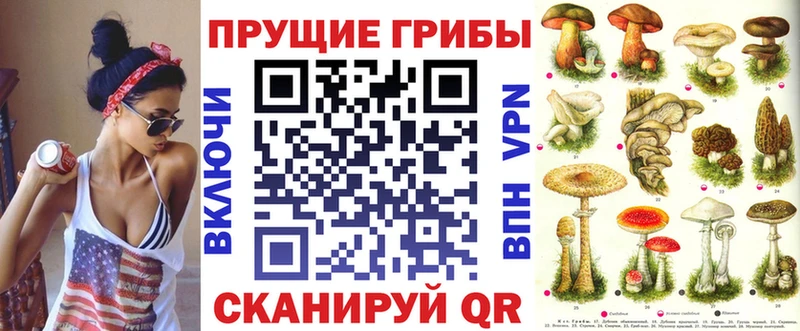 Купить закладки  Николаевск-на-Амуре  Псилоцибиновые грибы ЛСД 